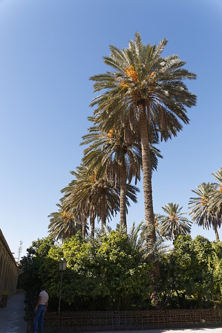 Chiraz-Naranjestan museum-090